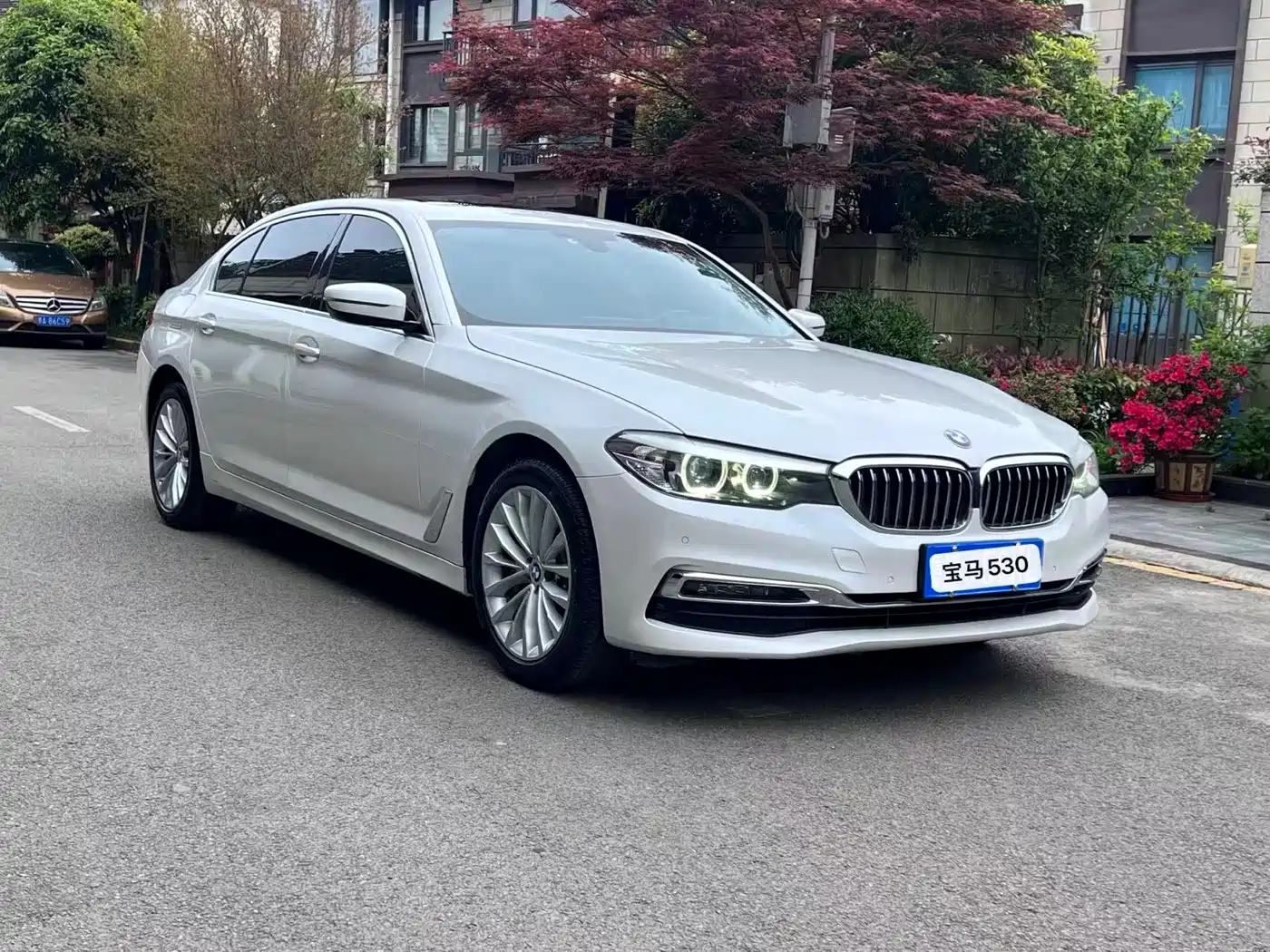 BMW 5 Series 2020 530Li Leading Luxury Package фото 3