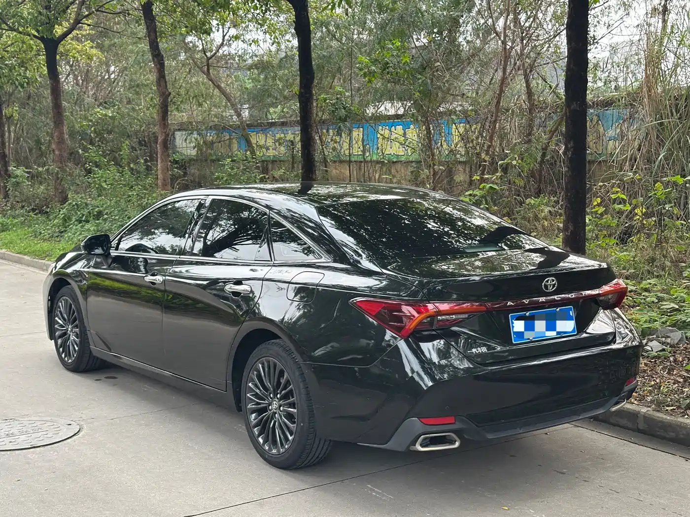 Toyota Avalon 2019 2.0L XLE Premium Edition (China VI) фото 14
