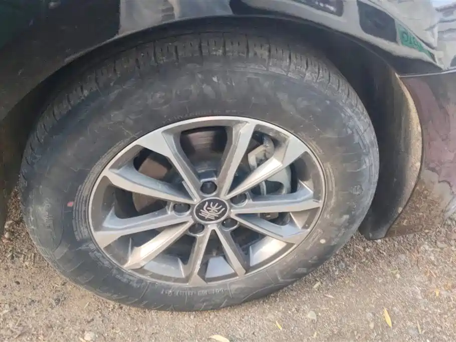 BYD Qin PLUS 2024 Glory Edition DM-i 55KM Leading фото 6