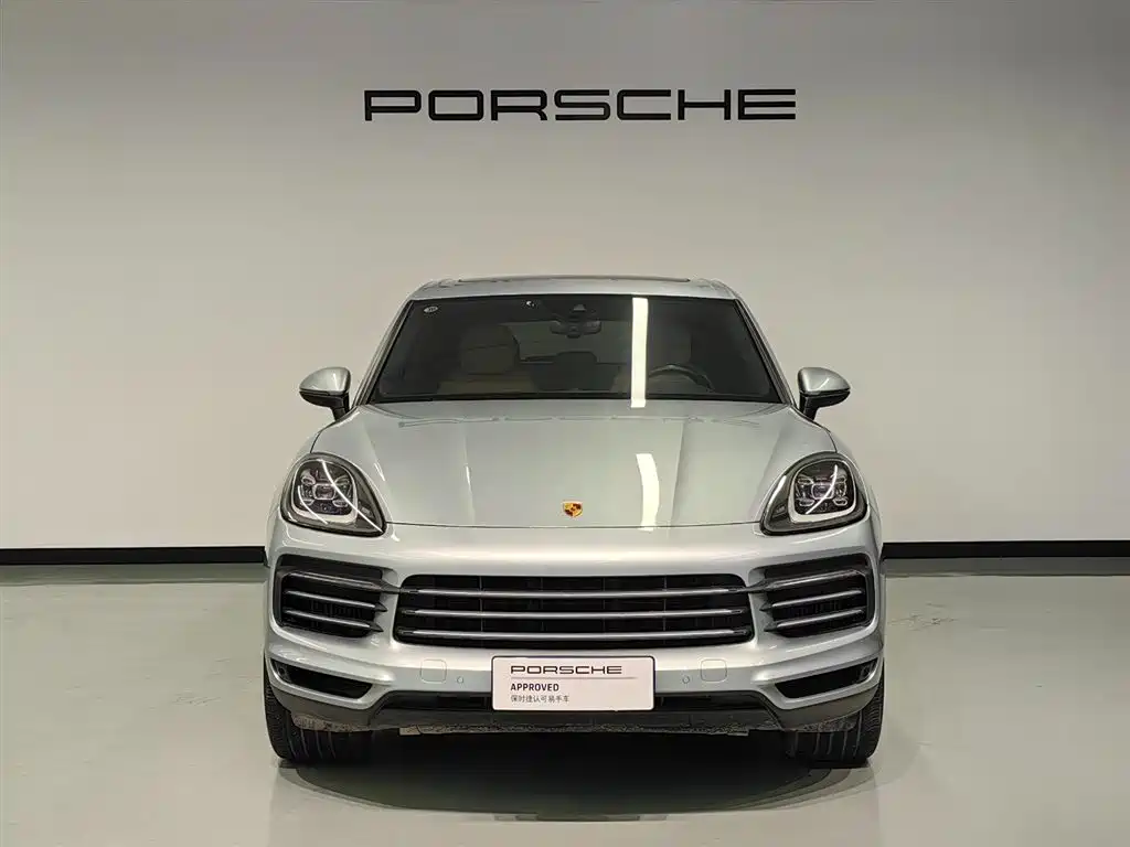 Porsche Cayenne 2022 Cayenne 3.0T Platinum Edition фото 2