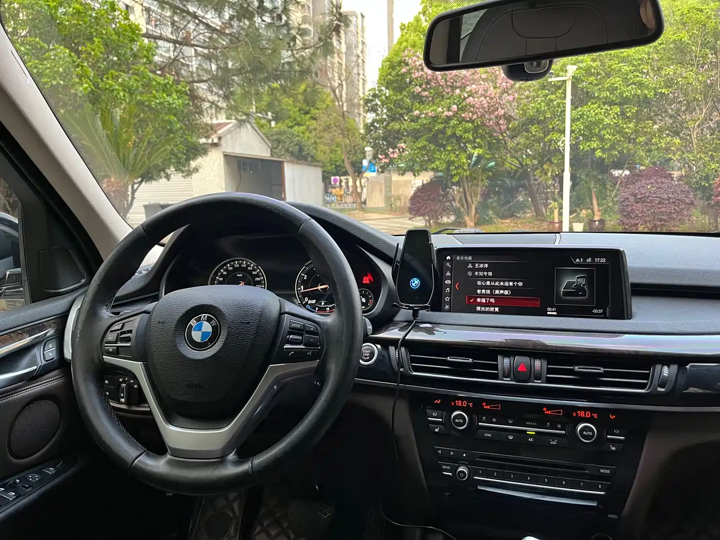 BMW X5 (Import) 2017 xDrive28i фото 5