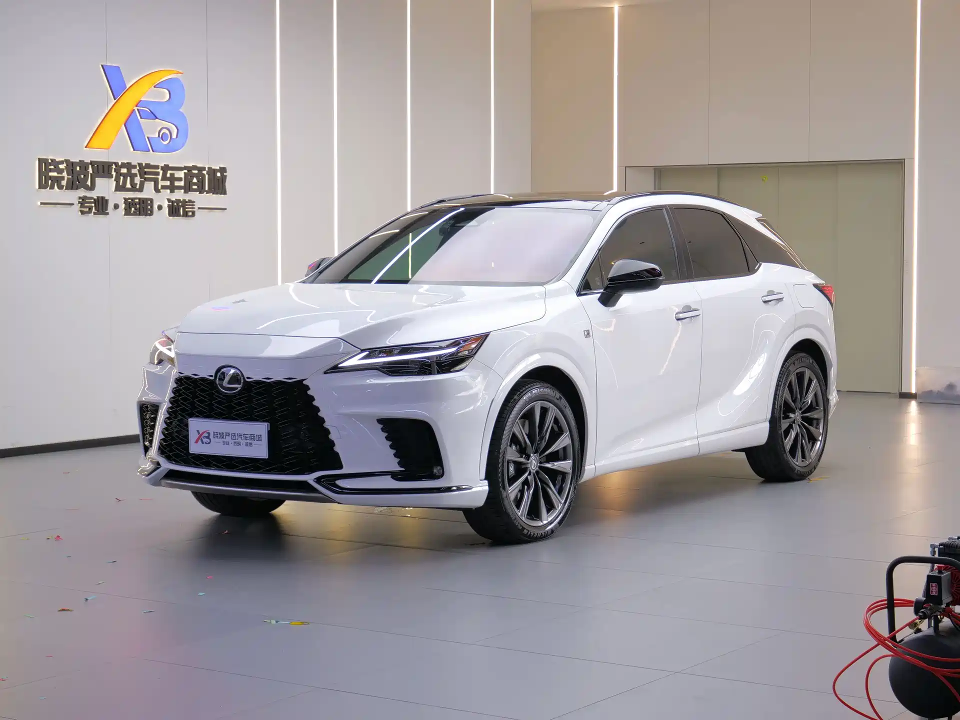 Фото 1 - Lexus RX
