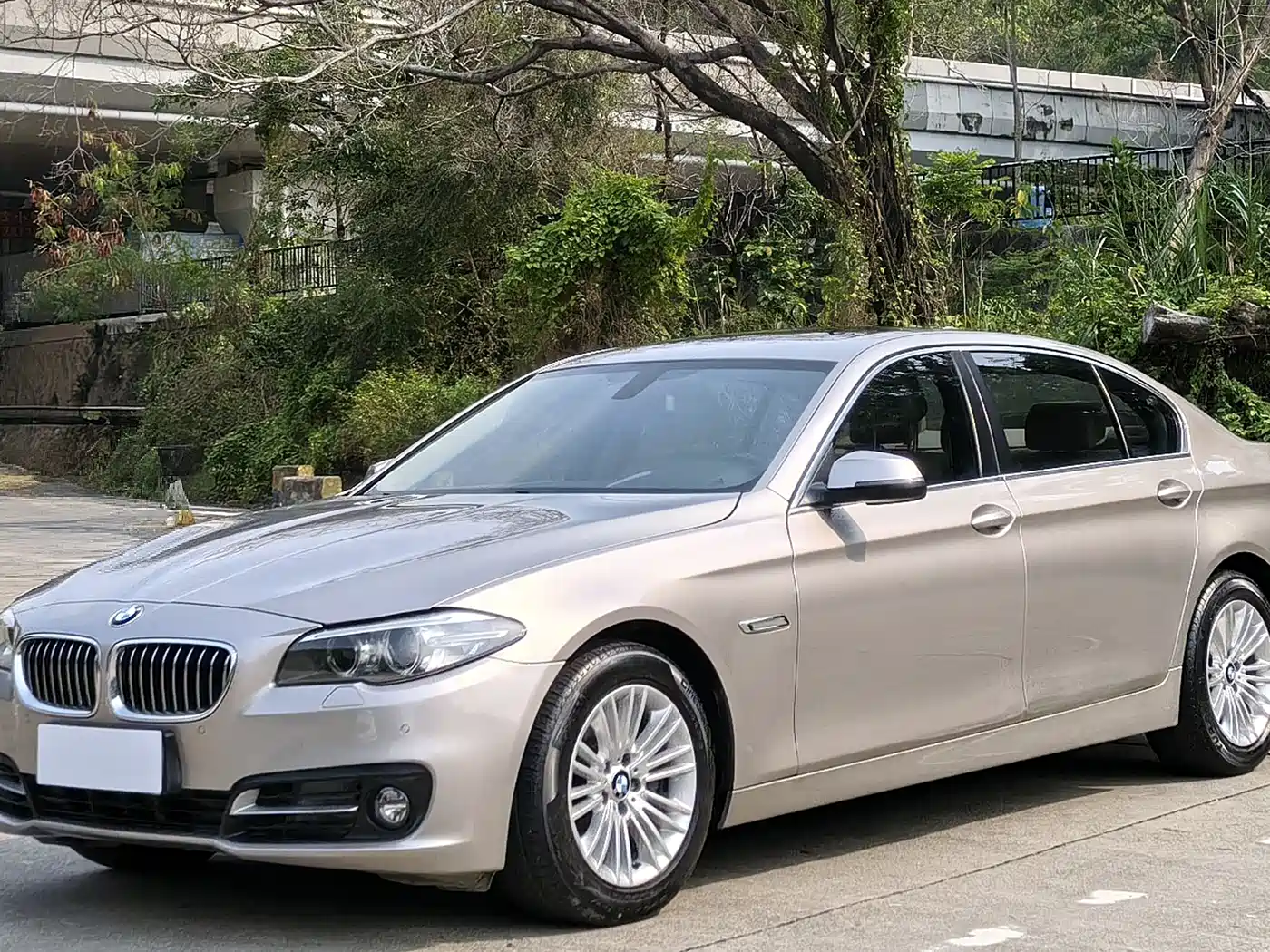 BMW 5 Series 2014 525Li Leading