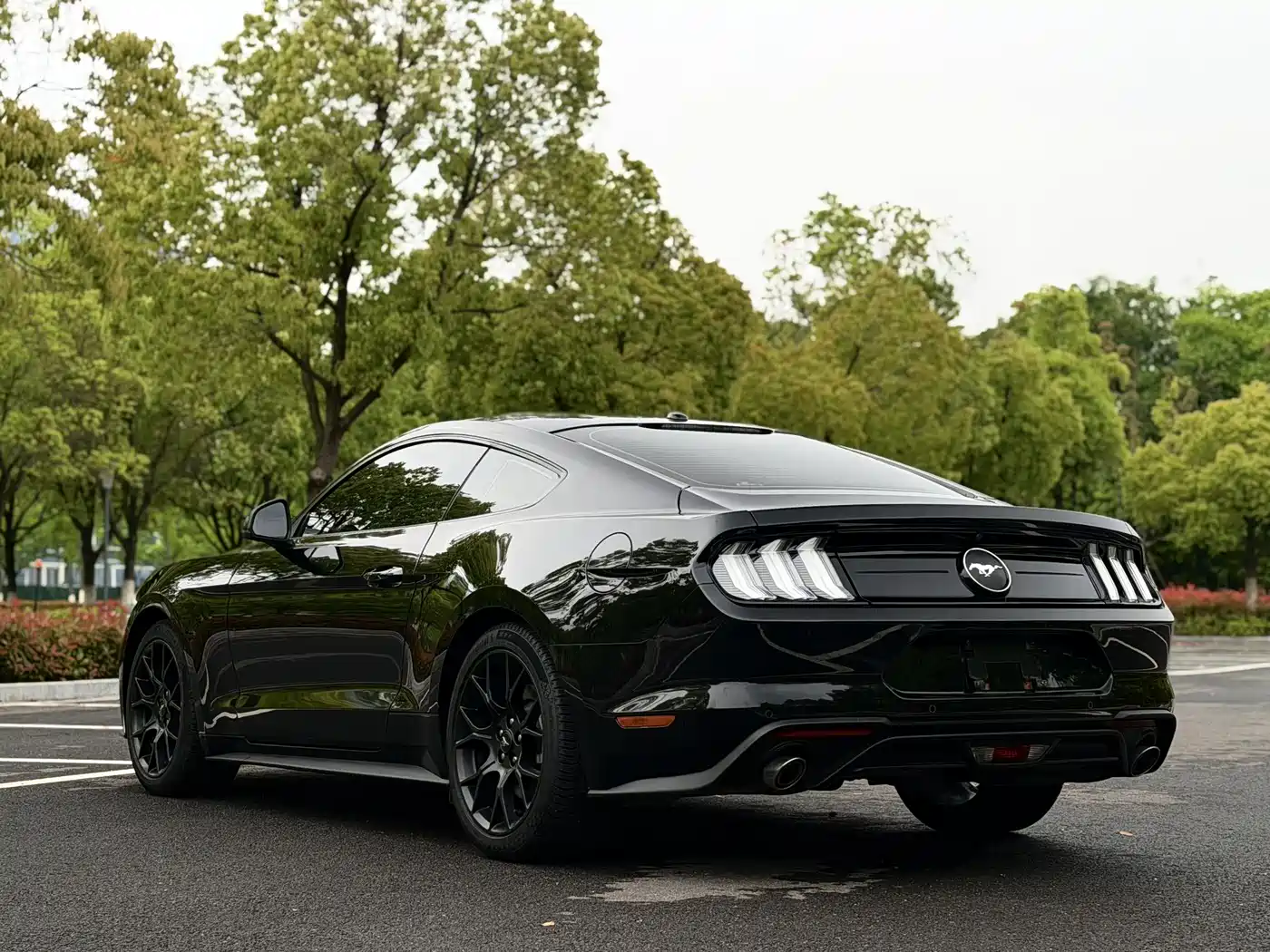 Ford Mustang 2019 2.3L EcoBoost фото 6