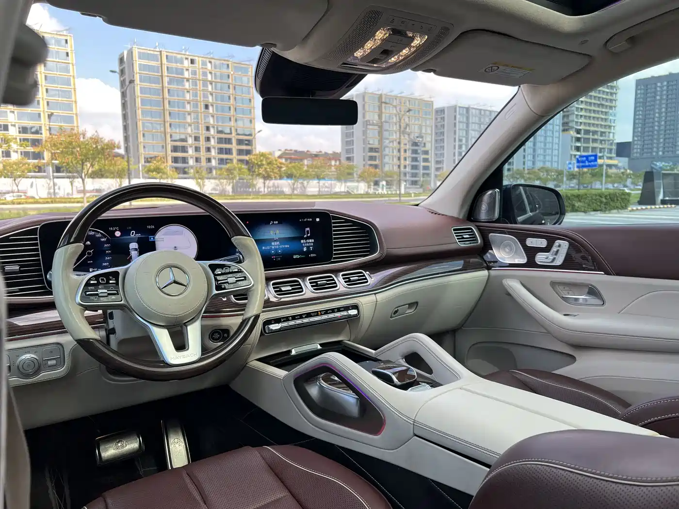 Mercedes-Benz Maybach GLS 2021 GLS 600 4MATIC Ritual Edition фото 9
