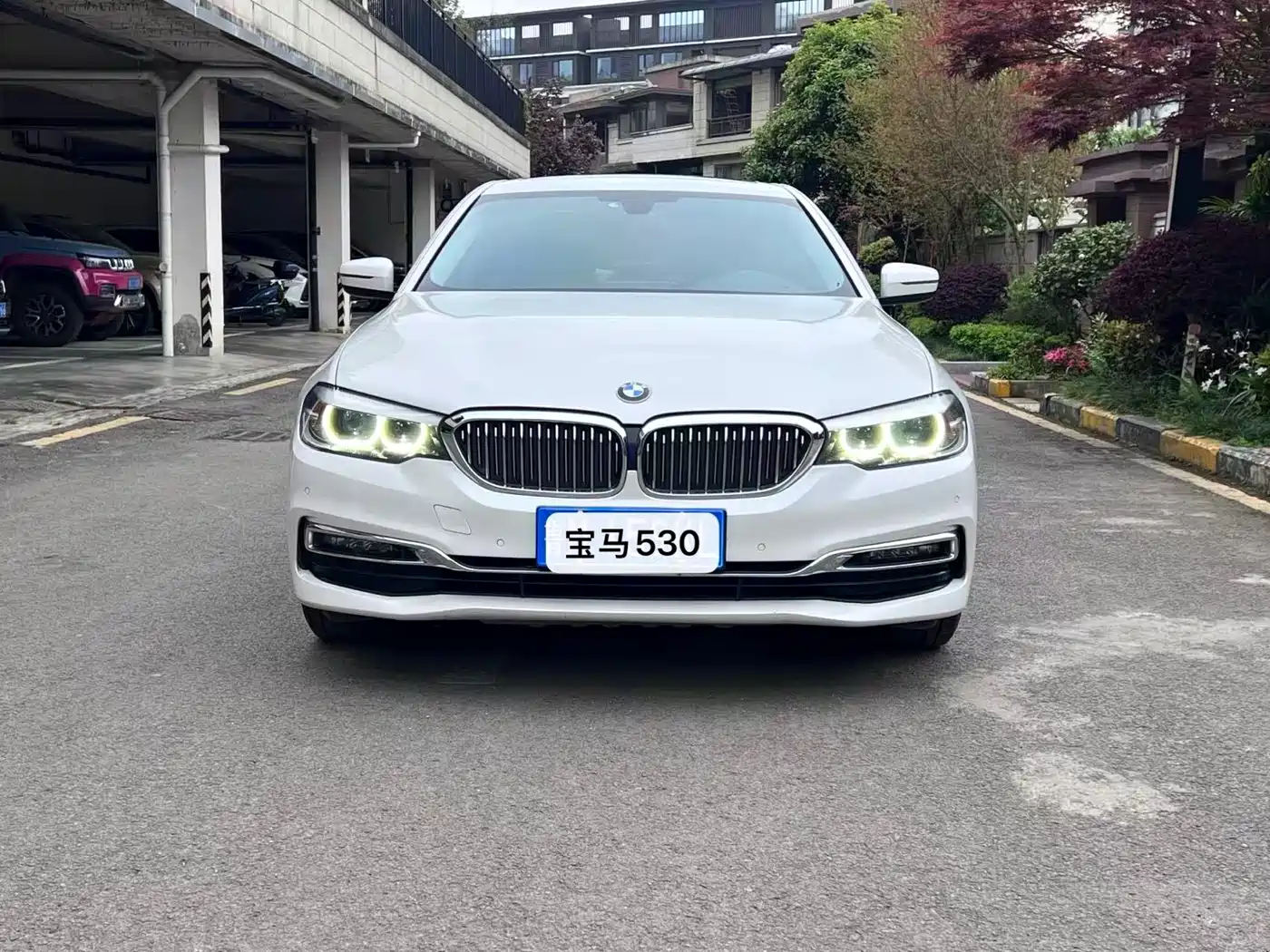 BMW 5 Series 2020 530Li Leading Luxury Package фото 2