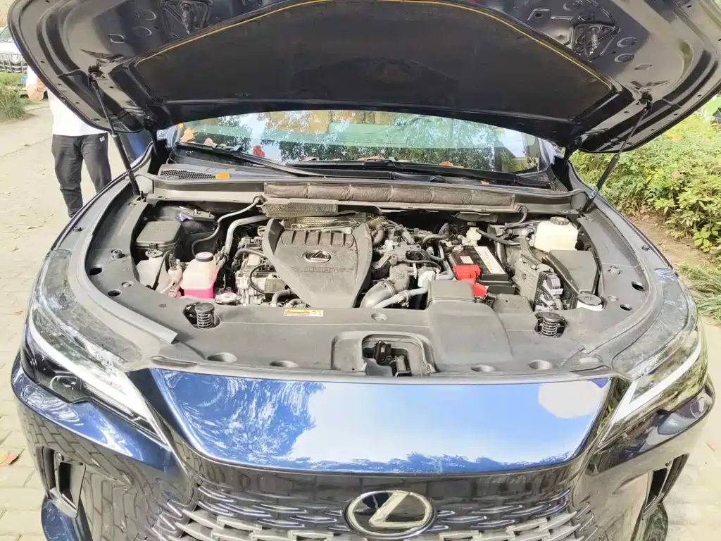 Photo 3 - Lexus RX