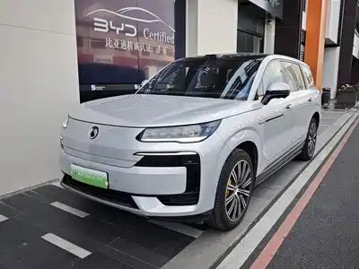 Denza N9