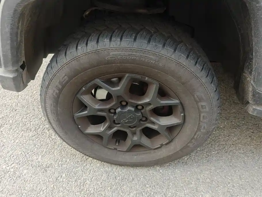 Фото 6 - BAIC ORV Beijing Offroad BJ40