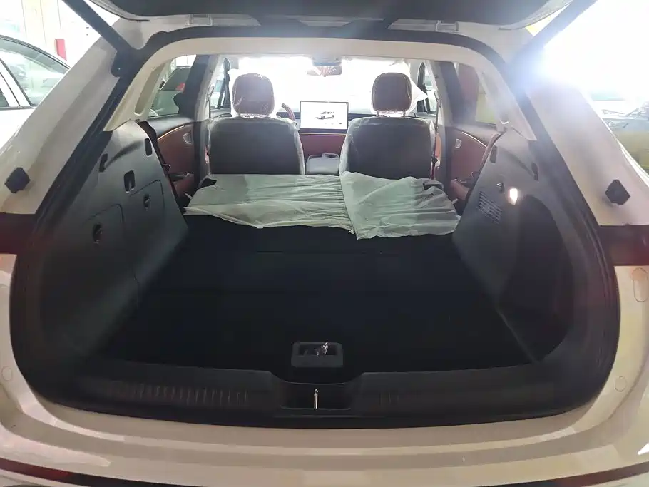 2025 Hongqi Tiangong 06