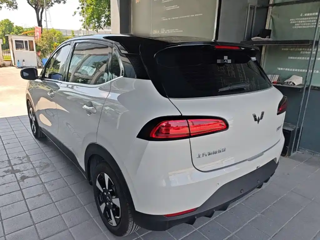 Wuling Motors Wuling Binguo PLUS 2025 2024 Model 330km 5-Seater