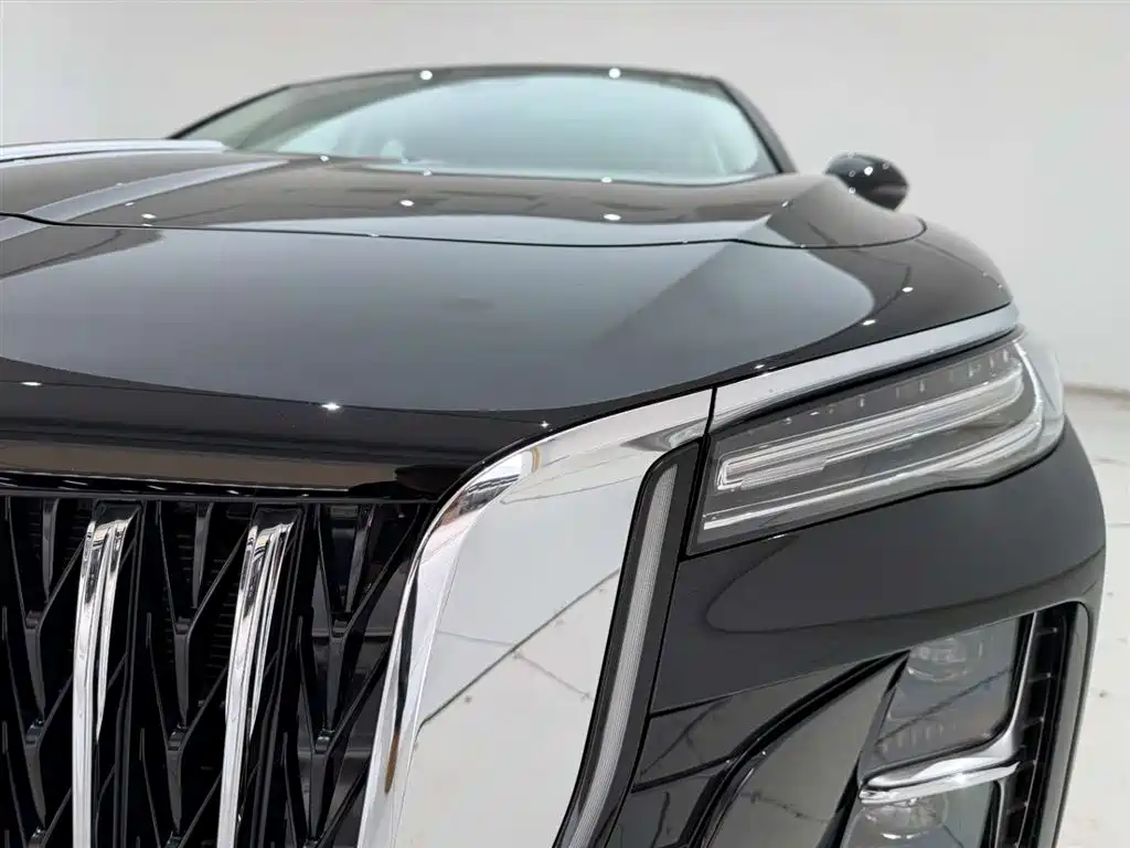 Hongqi H5 2025 2.0T Automatic Flag Celebration 500,000 Units Anniversary Edition фото 2