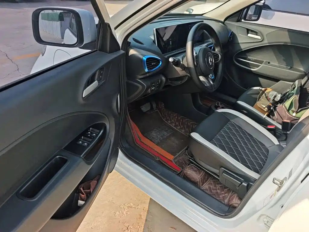 Ora White Cat 2021 2020 305km Luxury