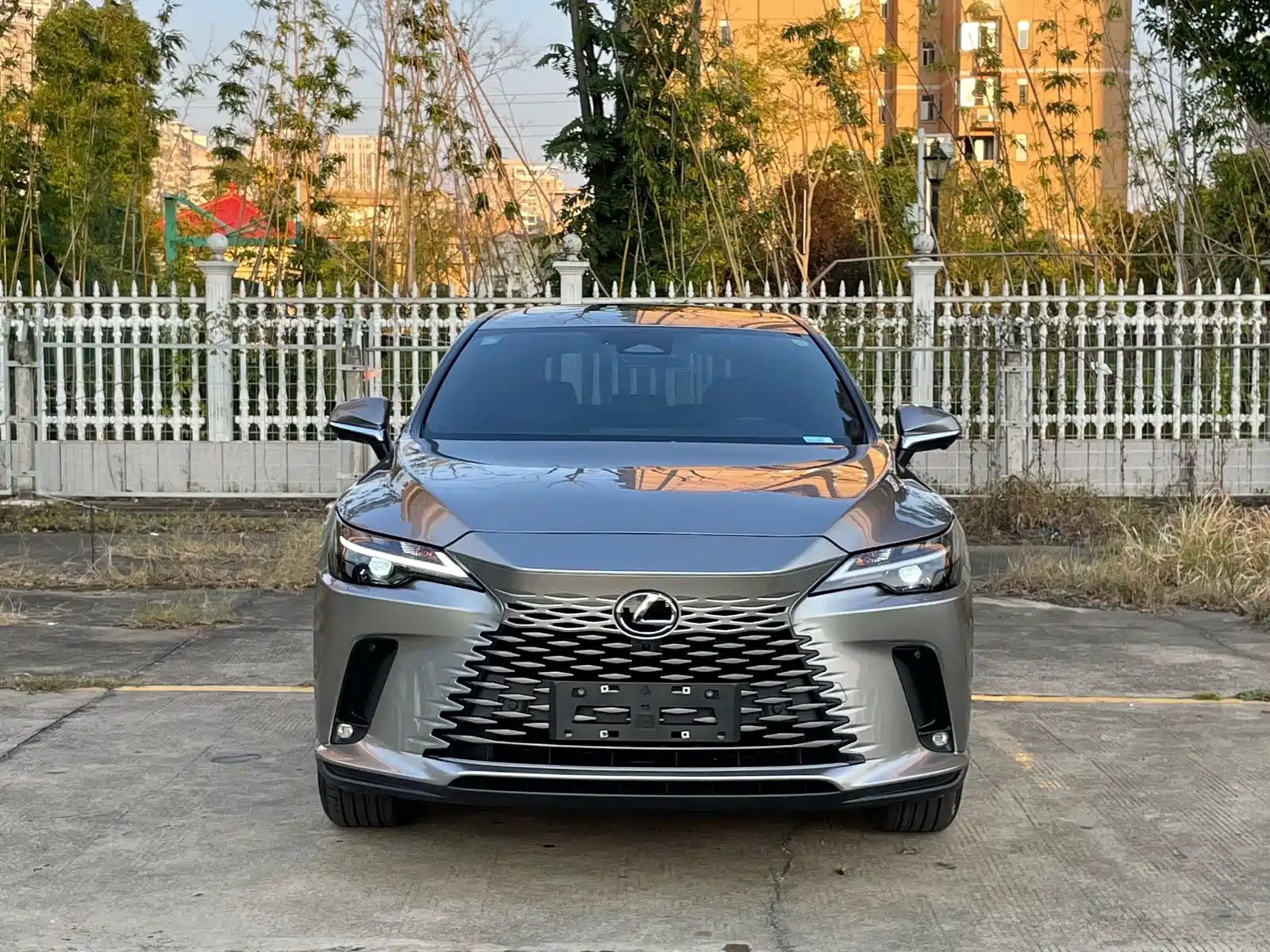 Фото 2 - Lexus RX