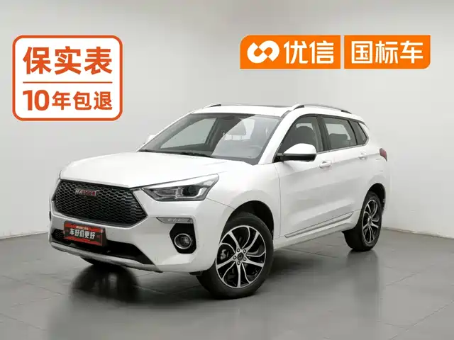 Haval H6 Coupe 2018 Red Label 1.5T Auto 2WD Ultra Luxury — фото 1