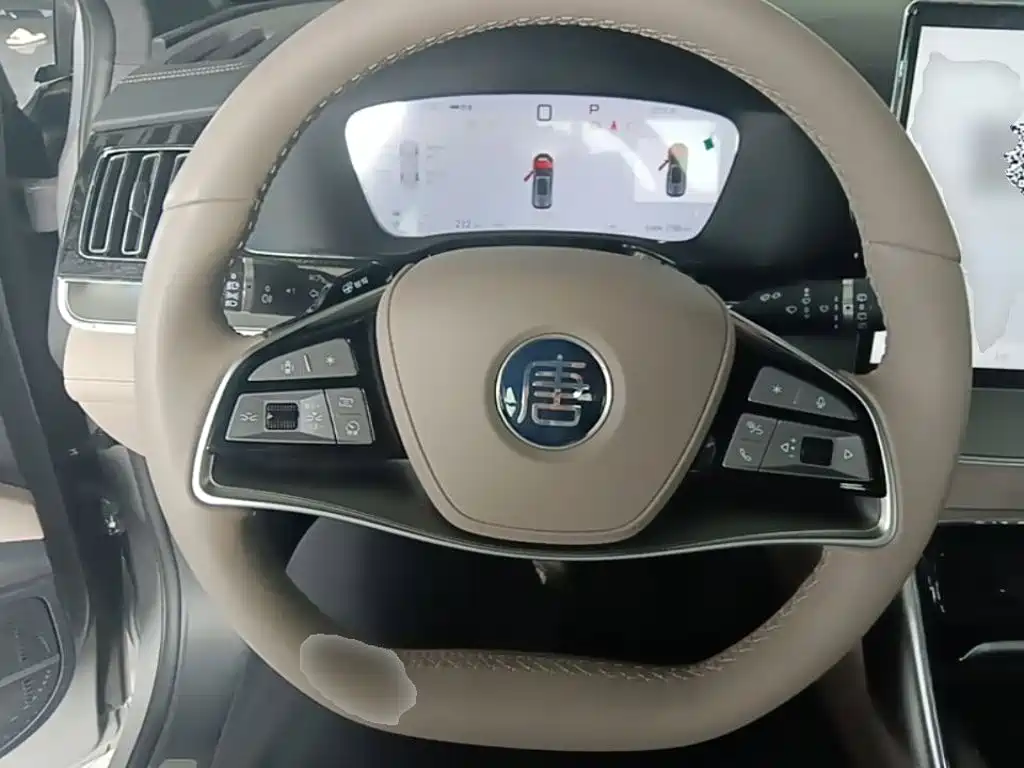BYD Tang New Energy 2025 2025 Smart Driving Edition DM-i 115KM Flagship