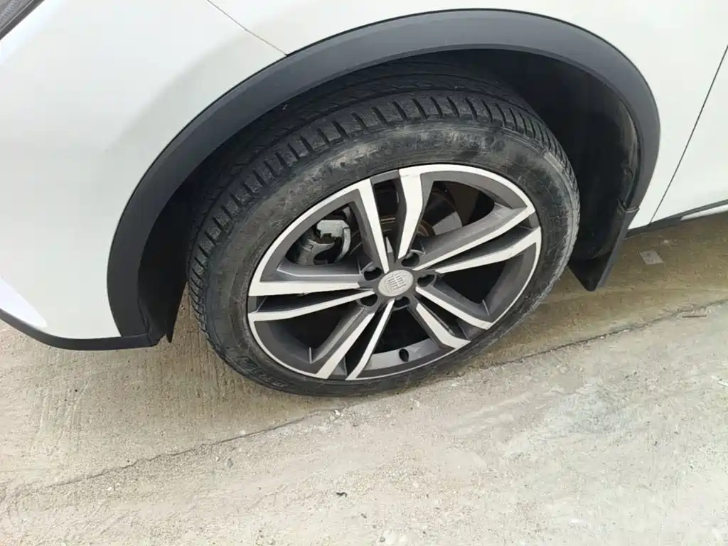 BYD Tang 2020 2021 2.0T Automatic Flagship