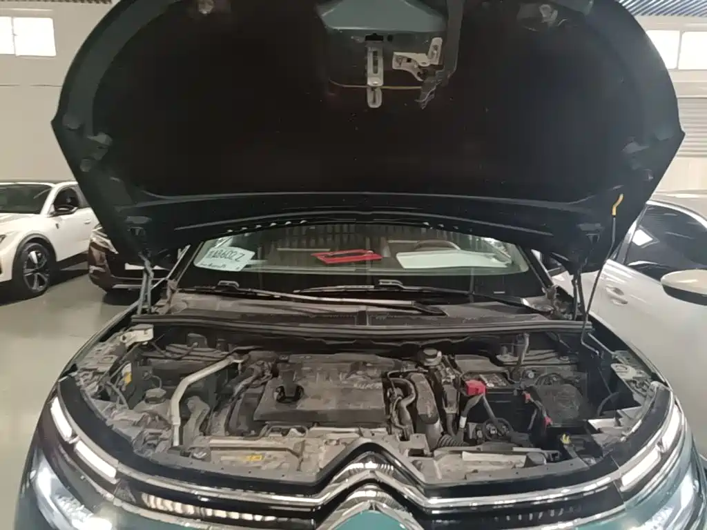 Фото 20 - Citroën Tianyi C5 AIRCROSS