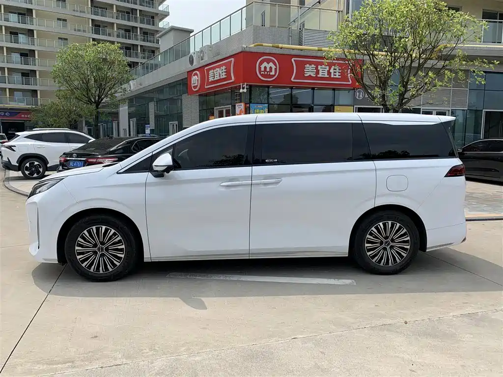 BYD M9 2025 2025 Model 1060 Pilot Edition