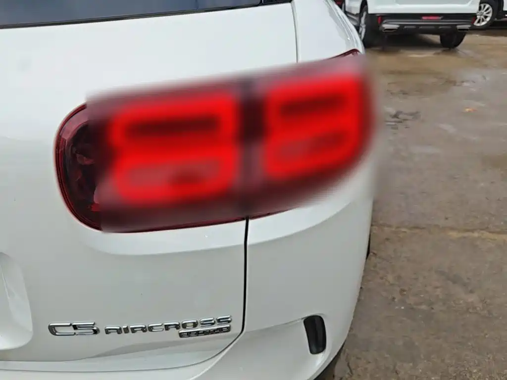 Фото 8 - Citroën Tianyi C5 AIRCROSS