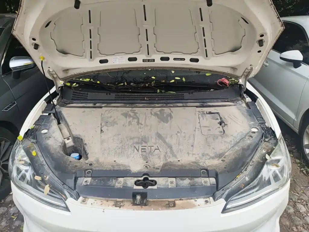 Nezha Auto Nezha V 2023 2022 Trend 400 Lite