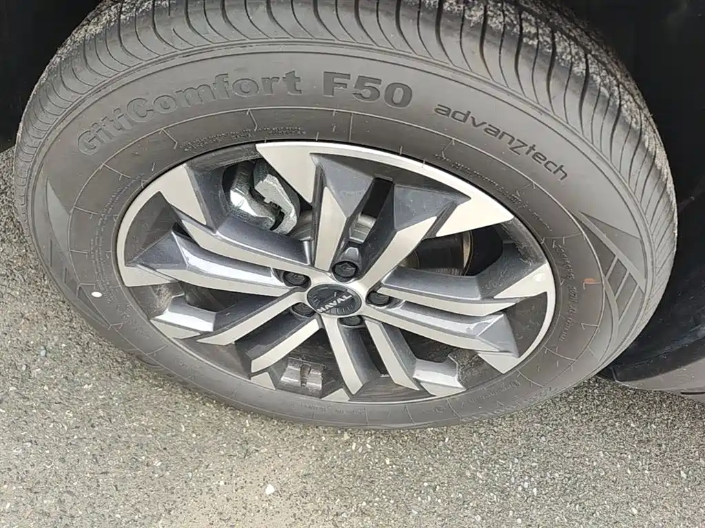 Haval Big Dog 2024 1.5T DCT Border Collie Edition фото 23
