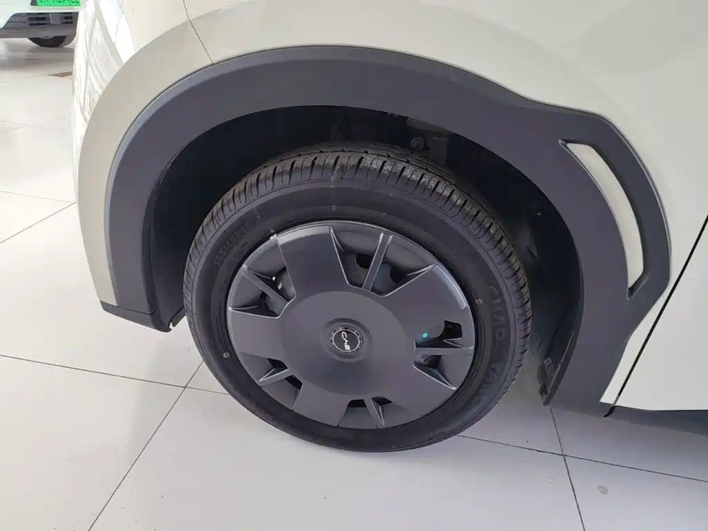 BYD Seagull 2026 2025 Smart Drive Edition 305km Vitality Version