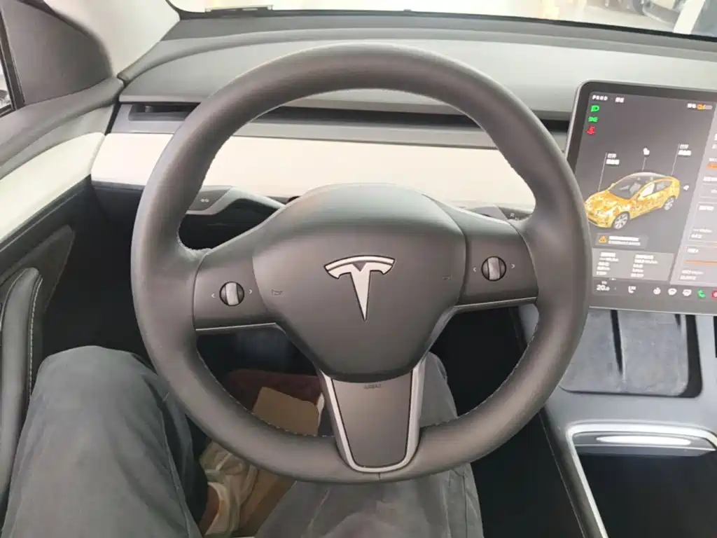 Tesla Model Y 2021 2021 Long Range All-Wheel Drive 3D7