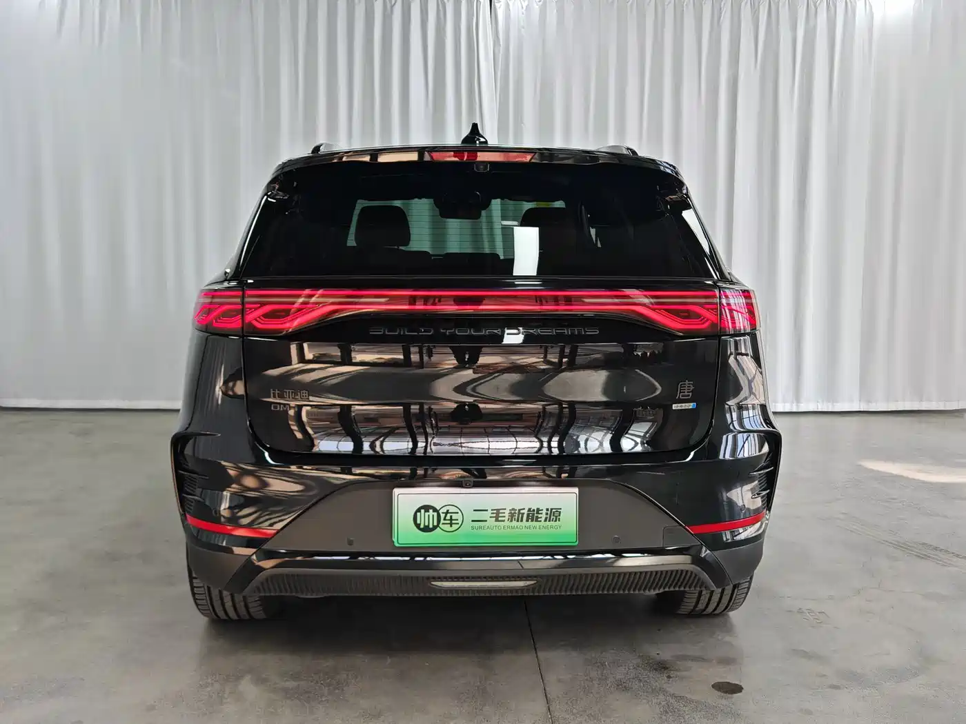 2025 BYD Tang New Energy