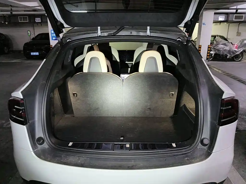 Фото 5 - Tesla Model X
