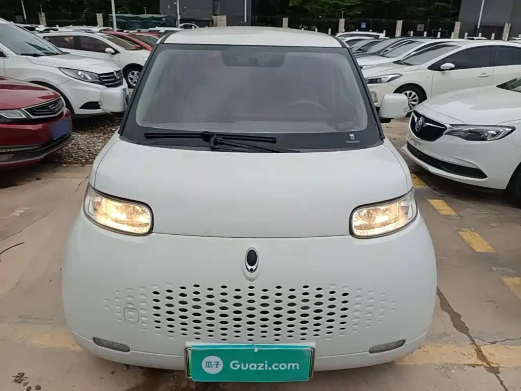 Ora White Cat 2021 2020 360km Standard Model
