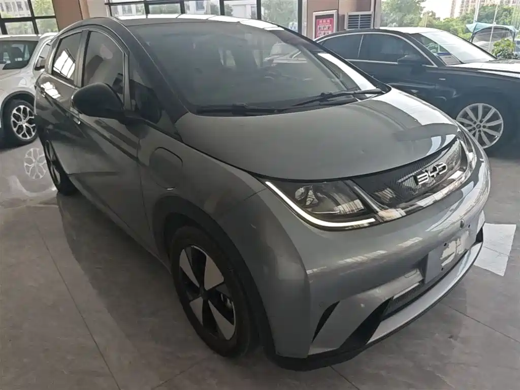 Фото 4 - BYD Dolphin