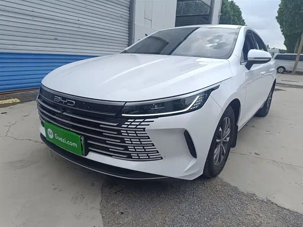 BYD Destroyer 05 2023 Champion Edition DM-i 55KM Luxury