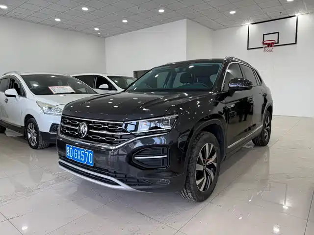 VOLKSWAGEN TANYUE
