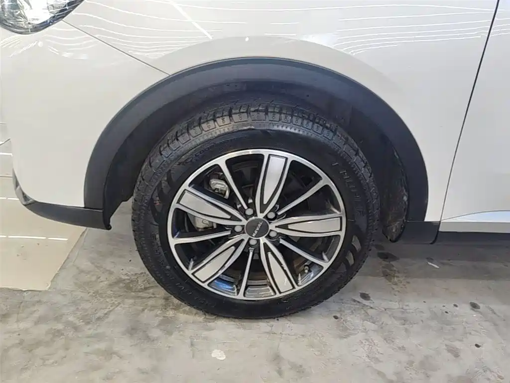 Haval H6 2021 1.5GDIT Automatic Champion Edition фото 23