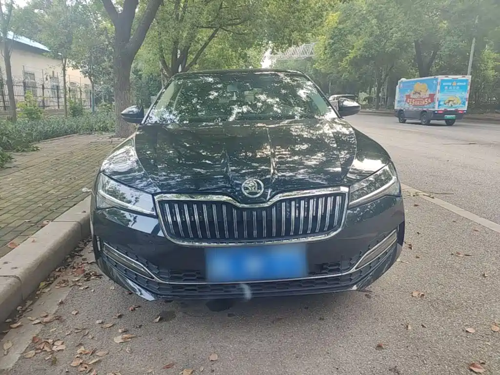 Škoda Superb 2024 2024 TSI280 DSG Premium Edition