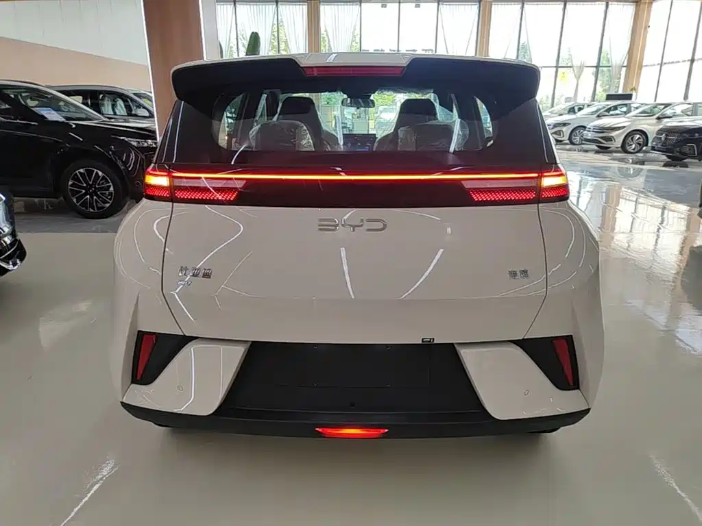 BYD Seagull 2026 2025 Smart Drive Edition 305km Vitality Version
