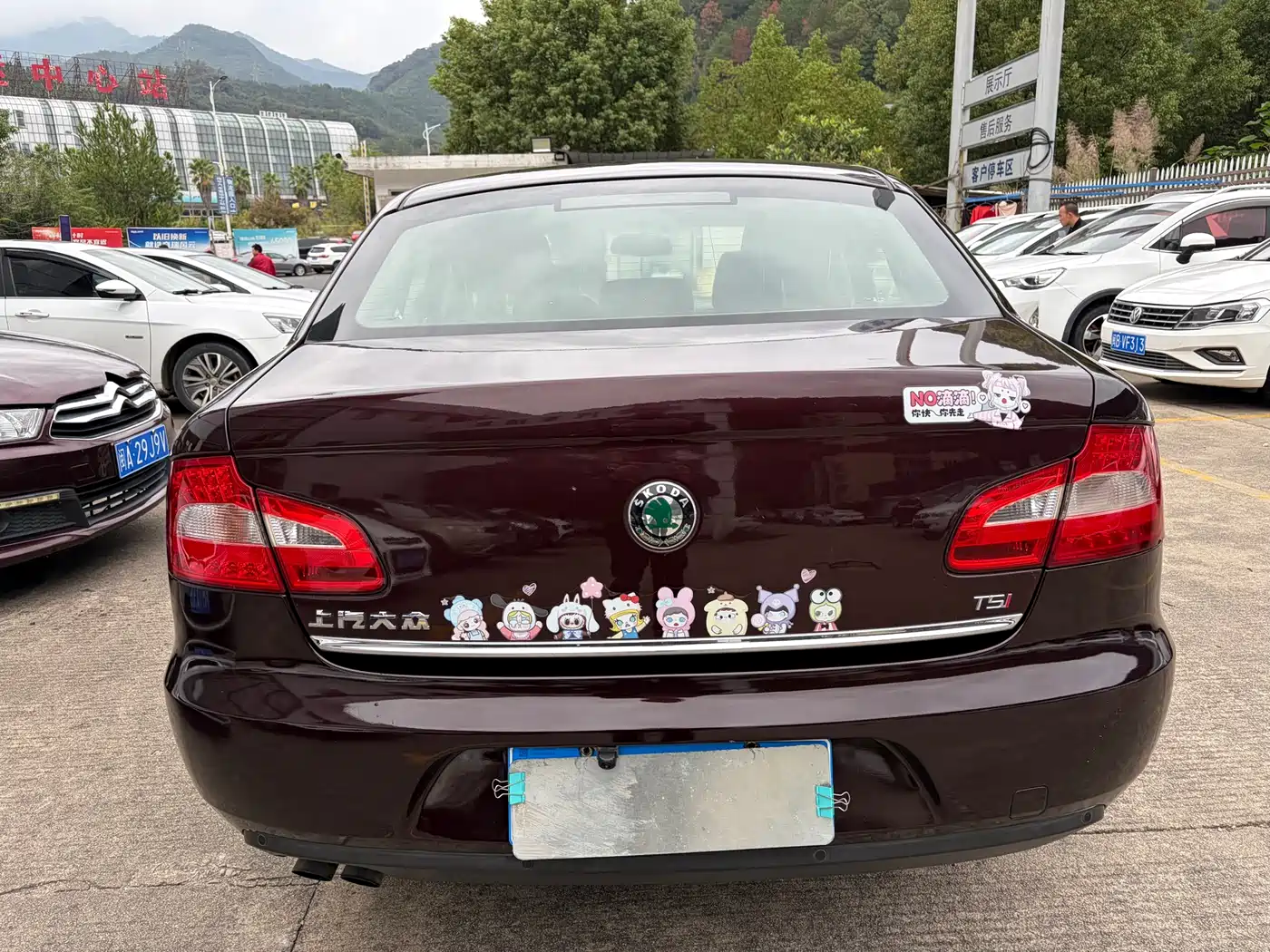 Škoda Superb 2013 1.4TSI GreenLine2 фото 8