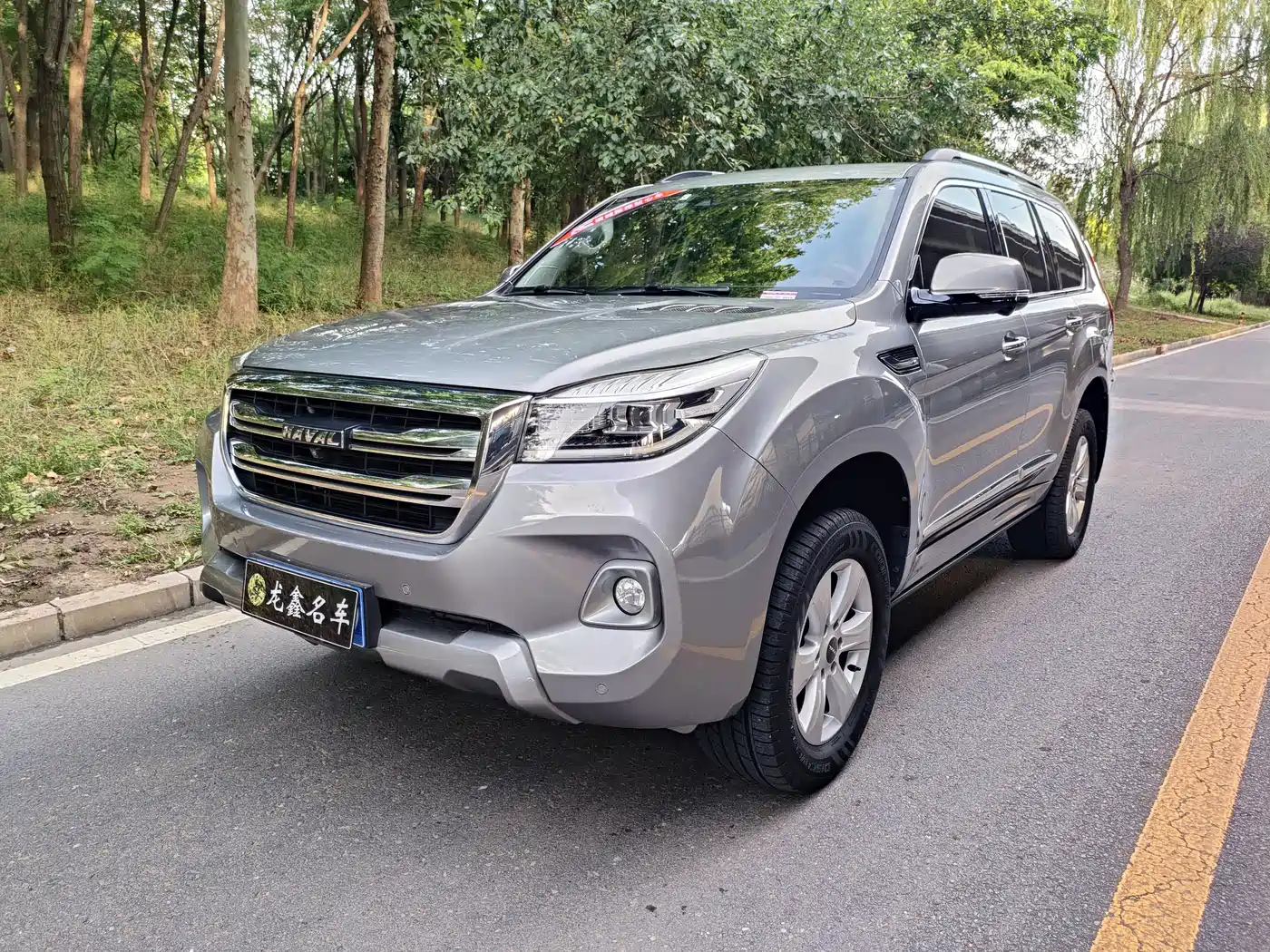 Haval H9 2020 2.0T Gasoline 4WD Premium 5-Seater