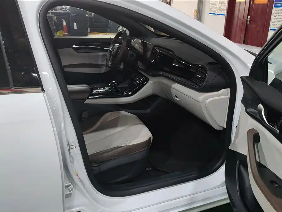 BYD Qin PLUS 2024 Glory Edition DM-i 55KM Leading фото 8