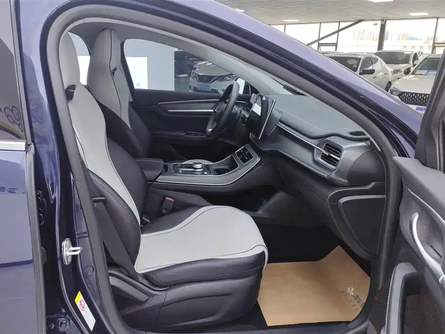 BYD Destroyer 05 2024 Glory Edition DM-i 55KM Luxury фото 7