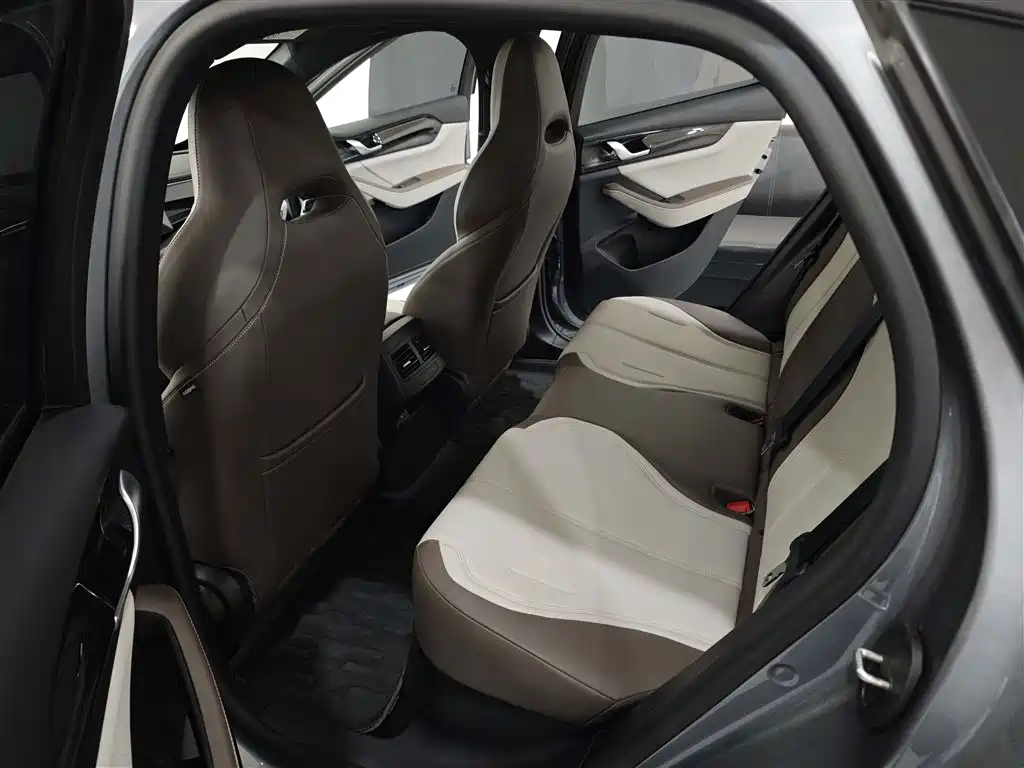 BYD Qin PLUS 2024 Glory Edition DM-i 55KM Leading фото 6