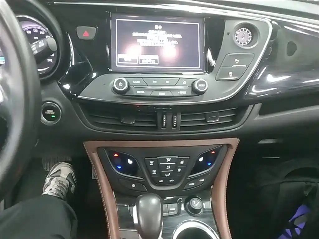 Buick Envision Plus 2019 28T AWD Elite Model China VI фото 13