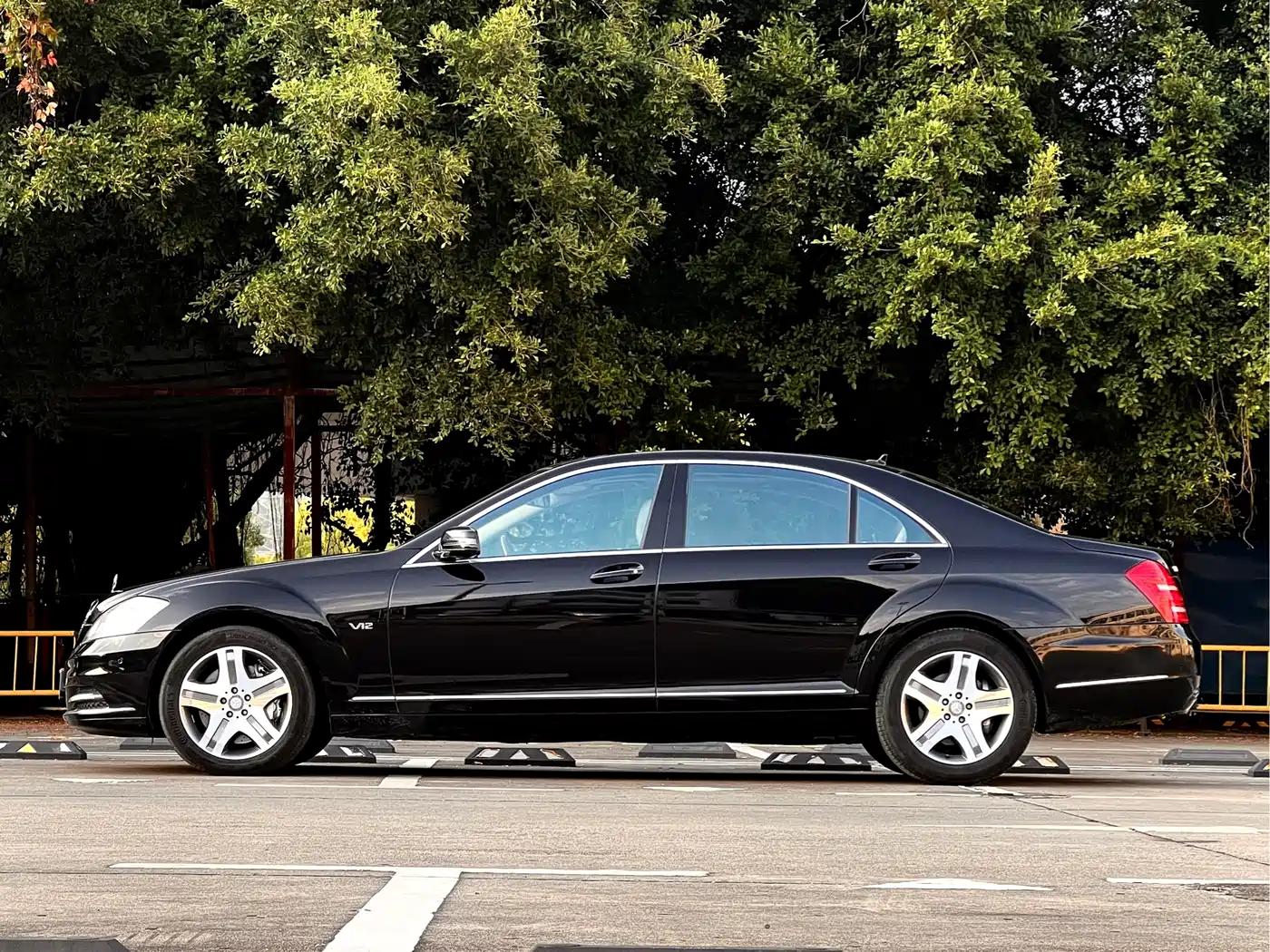 Mercedes-Benz S-Class 2010 S 600 L фото 7