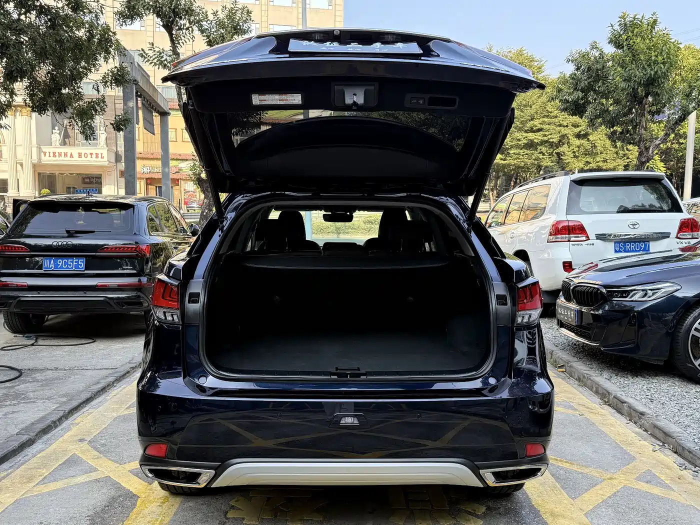 LEXUS RX