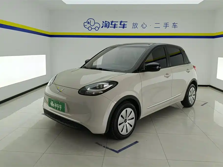 Wuling Motors Wuling Bingo 2023 Model 203km Lite Enjoyment Edition
