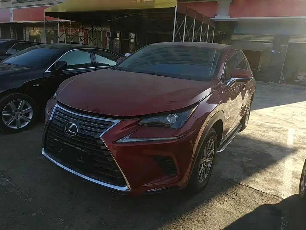 Lexus NX 2018 Model 200 FWD Fengxing Edition China V фото 2