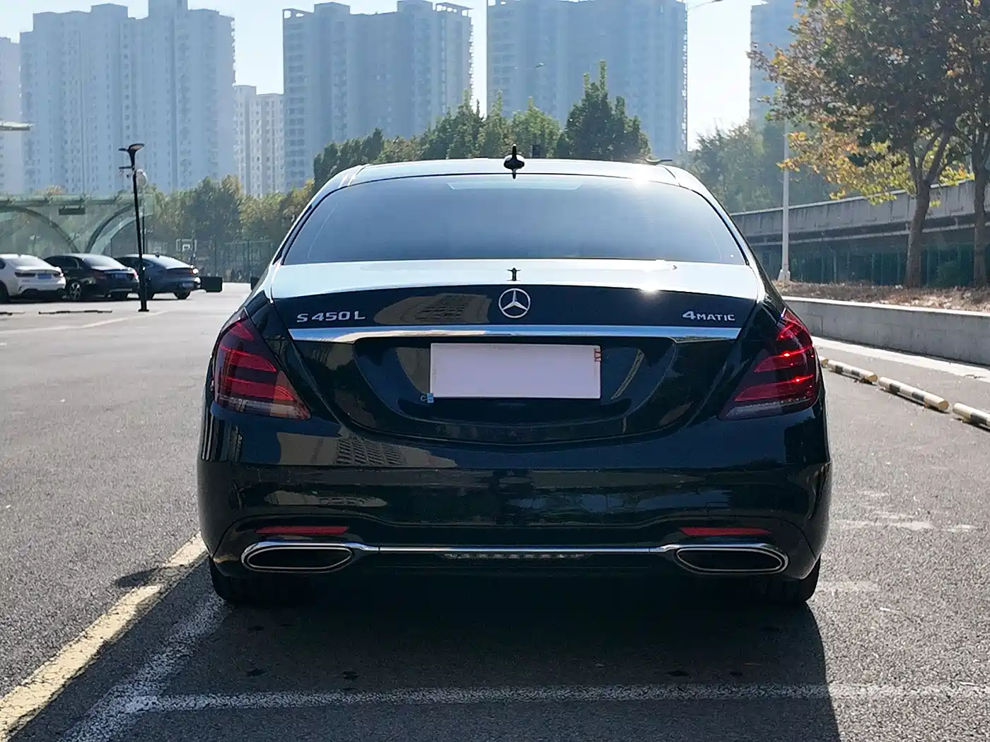 Mercedes-Benz S-Class 2020 S 450 L 4MATIC Collector's Version фото 4