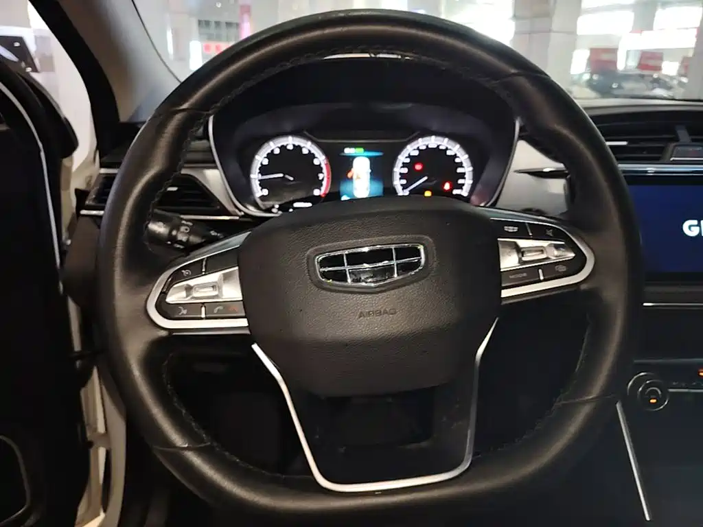 Фото 11 - Geely Binrui