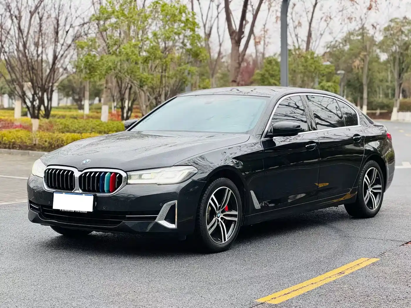 BMW 5 Series 2022 530Li Leading Luxury Package